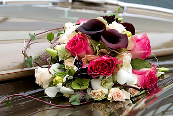 Flowers, Roses, Registration, Typography, Bouquet, Calla, Callas HD wallpaper