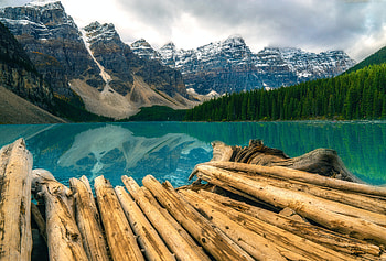Nature, Mountains, Snow, Rocks, Snow Covered, Snowbound, Logs HD wallpaper