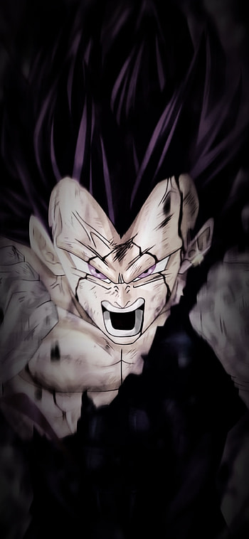 God of Destruction, vegita, dbz HD phone wallpaper