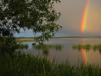 Rainbow Valley, grasses, rainbow, lake, tree HD wallpaper