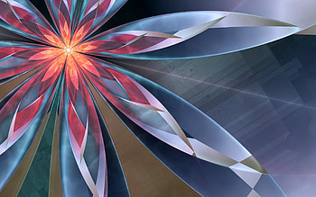 Abstract, Background, Flower, Petals, Lines HD wallpaper