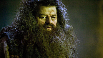 Robbie Coltrane, Defending JK Rowling, Thoughtful advocate, Power of compassion HD wallpaper