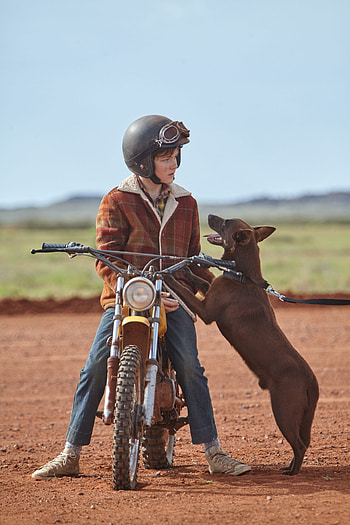 Red Dog movie, International espionage, Thrilling agent story, Action-packed HD phone wallpaper
