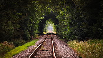 Train Track, railroad, train, track, nature HD wallpaper