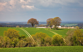 Spring in England, England, trees, fields, spring HD wallpaper