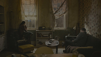The Last of Us (2023), TV Show, The Last Of Us HD wallpaper
