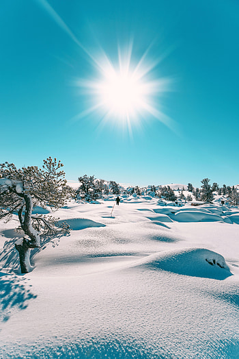 Landscape, Winter, Nature, Sun, Snow HD phone wallpaper