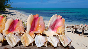 Turks and Caicos, Travels, Best hotels, Expedia recommendations HD wallpaper