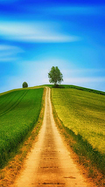 Farm road, Natural graphy, Beautiful nature, Rural landscapes HD phone wallpaper