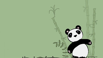 Cute Panda Background HD wallpaper