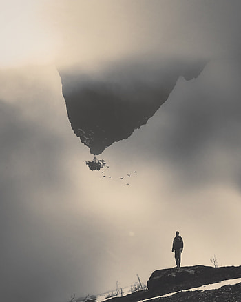 Birds, Mountain, Miscellanea, Miscellaneous, Wood, Tree, Fog, Human, Person, Illusion HD phone wallpaper