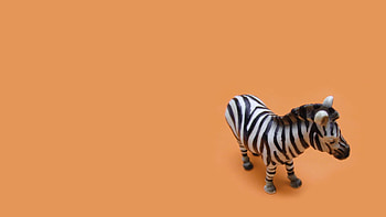 Background, Zebra, Miscellanea, Miscellaneous, Toy, Striped HD wallpaper