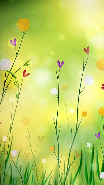 Spring Background, Tress Aesthetic HD phone wallpaper