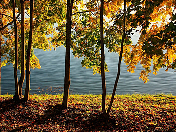 Landscape, Nature HD wallpaper