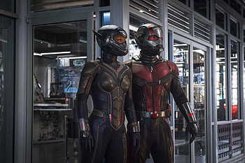 Ant-Man and the Wasp HD wallpaper