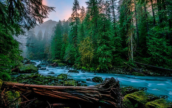 Mountain River, Dusk, Sunrise, Sunset, Trees, Water, Forrest, Mountains, Nature, Green, Outdoors, Summer, Country, Grass, Hike, River, Sky HD wallpaper