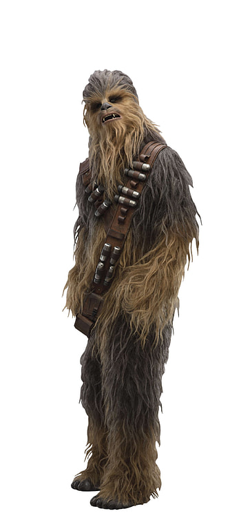 Chewbacca movies, Chewbacca in Solo a Star Wars Story HD phone wallpaper
