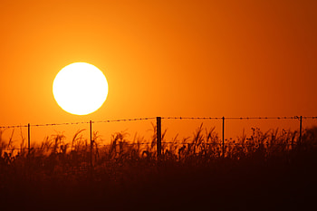 Nature, Sunset, Grass, Sky, Sun, Wire HD wallpaper
