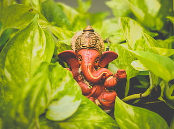 A vibrant Ganesha idol surrounded by lush green leaves, representing spirituality and nature. HD wallpaper