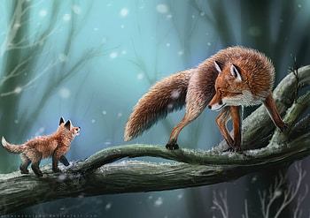 Art, Fox, Branch, Profile HD wallpaper