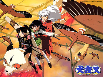 The best friends, ducks, miroku, inuyasha, kirara, sango, fly HD wallpaper