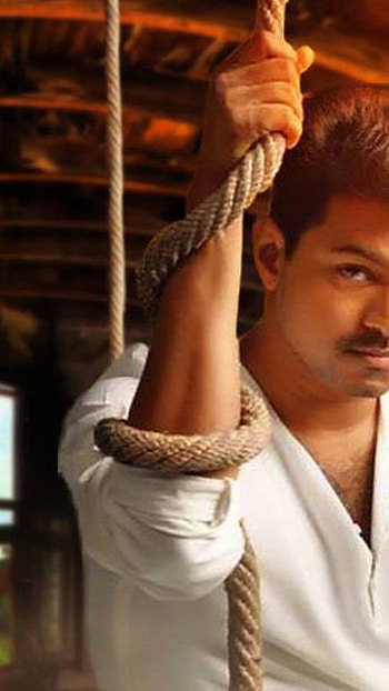 Beast Vijay, Vijay Thalapathy HD phone wallpaper