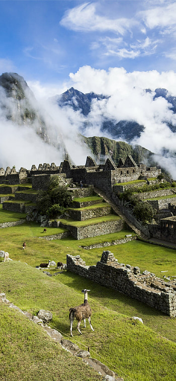 Machu Picchu, Best HD phone wallpaper