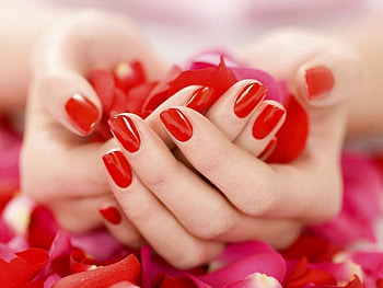 ~Rose Petal In Hand~, rose, petal, hand, flower HD wallpaper