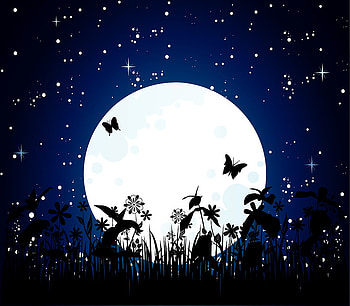 BIGSTOCK MOON, butterflies, full, large, moon HD wallpaper
