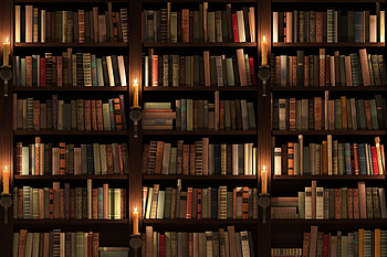 Library, Cozy Library HD wallpaper