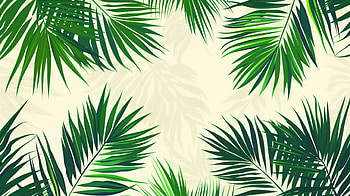 Palm Leaf Paradise, palm leaf, greenery, nature HD wallpaper