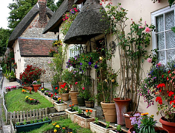 flower world, world, flower HD wallpaper