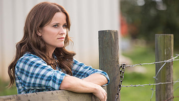 The Good Lie (2022) movie HD wallpaper