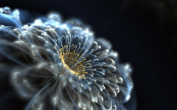 Fractal flower, blue, white, Fractal, yellow, flower HD wallpaper