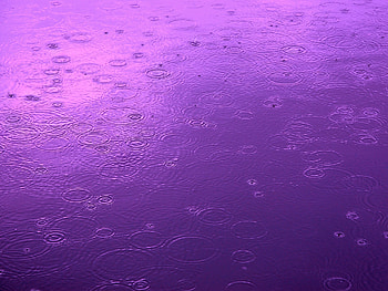 Purple rain, purple, pink, water, rain, texture HD wallpaper