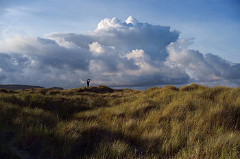 Landscape, Nature, Grass, Clouds, Silhouette, Field HD wallpaper