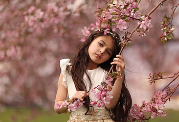 Little girl in spring, pink, sakura, flower, girl, spring, blossom, copil, child HD wallpaper