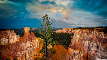Bryce Canyon, , Stunning backgrounds, Natural beauty HD wallpaper