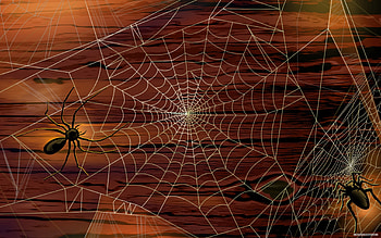 Spider's web, halloween, spider, brown, web, vector HD wallpaper