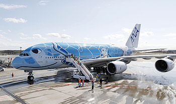 All Nippon Airways, Sea turtle livery, Narita Honolulu flights HD wallpaper