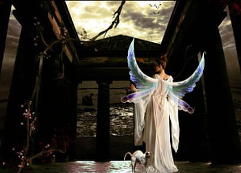Angel, abstract, fantasy, sky, cat HD wallpaper
