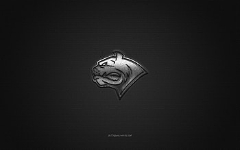 Dornbirn Bulldogs, Austrian hockey club, EIHL, silver logo, gray carbon fiber background, Elite Ice Hockey League, hockey, Vorarlberg, Austria, Dornbirn Bulldogs logo HD wallpaper