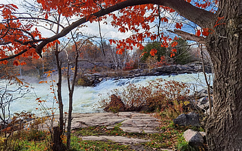 White's Falls, Ontario, river, leaves, fall, autumn, trees, colors, usa HD wallpaper