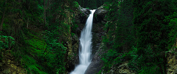 Green Forest, Waterfall, Nature HD wallpaper