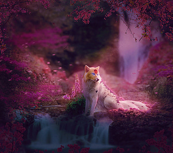 Fox Colorful Art, fox, artist, artwork, digital-art, deviantart HD wallpaper