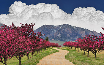 Landscape, Trees, Roads, Mountains, Clouds HD wallpaper