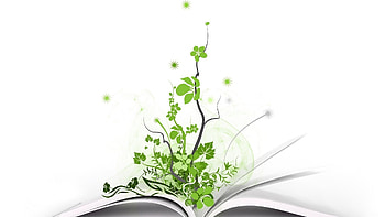 Plants, Background, Books HD wallpaper