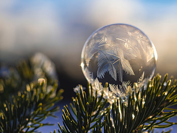 Macro, Close-Up, Branch, Fir, Spruce, Ball, Frost, Hoarfrost HD wallpaper