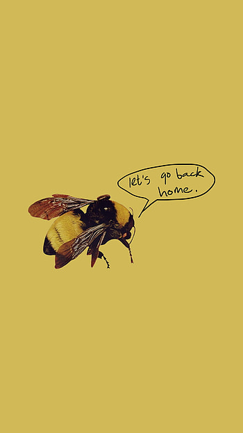 LET'S GO BACK HOME., the, creator, boy, flower, tyler HD phone wallpaper