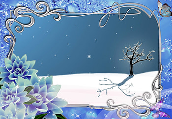 Lonely tree, night, blue, winter, white, silhouettes, stars, shadows, abstract, snow, trees, nature HD wallpaper